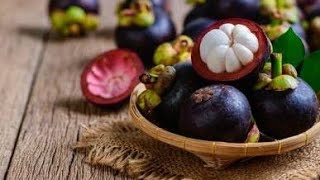 How to grow Mangosteen｜Growing Mangosteen from seed [upl. by Couq486]