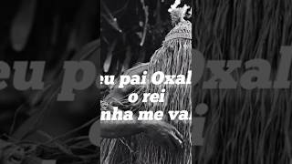 Ponto de Obaluaê umbanda shorts exu short orixas reels omolu obaluaê [upl. by Aloke552]