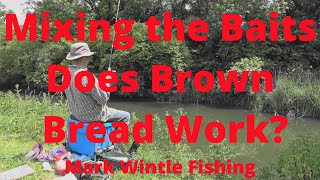 Mixing the Baits  Does Brown Bread Work [upl. by Sherer]