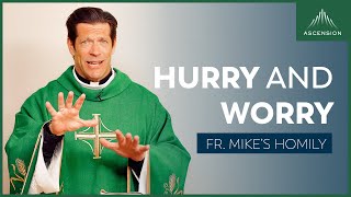 Hurry and Worry  Fourteenth Sunday in Ordinary Time Fr Mikes Homily sundayhomily [upl. by Thirza733]