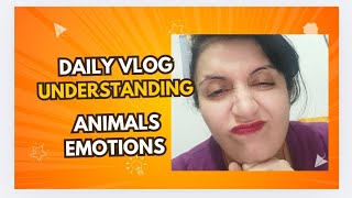 dailyvlog number 91 How to heal stress in Agrimony pets [upl. by Ahsiet]