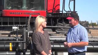 Massey Ferguson Across America9895Combining Soybeans in Illinois [upl. by Llorrad]