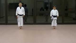 JKA Mahiro amp Masaki practice Heian shodangodan and Tekki shodan part 1 [upl. by Orland]