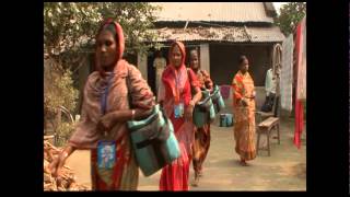 Grameen Danone  The Business of Social Innovation [upl. by Hplar645]