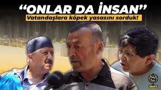 Vatandaşlara köpek yasasını sorduk köpekyasası [upl. by Izawa595]