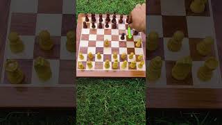 Checkmate Your Opponent in 6 Moves chess shorts [upl. by Natsuj]