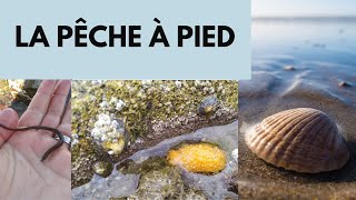 La pêche à pied [upl. by Adair]