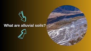 What are alluvial soils [upl. by Araccot40]