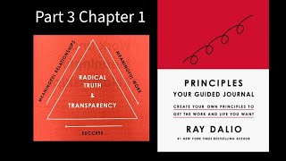 Audiobook Part 3 Chapter 1  Principles Life amp Work by Ray Dalio [upl. by Merriman747]