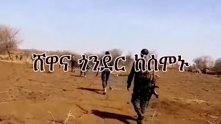 Anchor Media ሸዋና ጎንደር ከሰሞኑ [upl. by Dara]