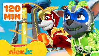 PAW Patrol  PAW Patrols BESTE Rettungen amp Abenteuer  2 Stunden  Nick Jr Deutschland [upl. by Artamas585]