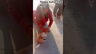 Happy kukur tihar rosy song [upl. by Hamnet]