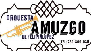 Orquesta Amuzgo De FelipinlopezLa Burrita Blanca [upl. by Cestar760]