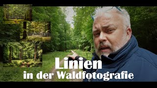 WALDFOTOGRAFIE  Linien nutzen [upl. by Einaoj]