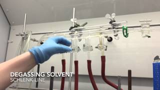 Degassing solvent on the Schlenk line [upl. by Urana]