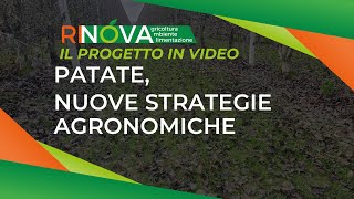 Patate nuove strategie agronomiche [upl. by Osi]