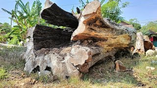 KISWA MEBEL sedang live sekarang Gergaji kayu trembesi super I Sawmill [upl. by Arod395]