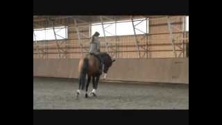 Warwick McLean training Riverbank Horses  Rula owner Hanna Alalauri [upl. by Anib279]