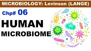 Chp6 Levinson LANGE Micro  The Human MicroBiome  Microbiota  Microbiology Lectures [upl. by Raama]