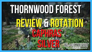 Thornwood Forest Review and Rotation  Black Desert Online [upl. by Hterag575]