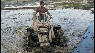 Ploughing the paddy field on tractor the village farming tractor 2024 [upl. by Hardan]