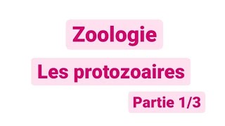 Zoologie L2  les protozoaires SNV [upl. by Ellyn]