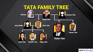 The Tata Family Tree Whats Next For Tata Trusts As Noel Tata Takes Over [upl. by Clive]