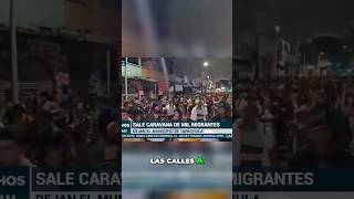 Venezolanos en México ¿Nuevo Futuro o Invasión imigracion deportación usa México [upl. by Anailuig540]