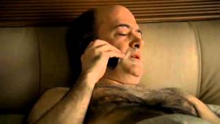 The Sopranos  Agent Harris Helps Tony Soprano [upl. by Weed]