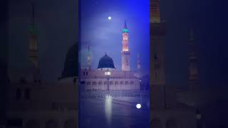 naat naatsharif naatstatus islamicvideo islamicstatus [upl. by Medarda]