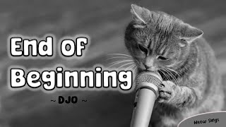 End of Beginning but Cat  DJO [upl. by Buchalter]