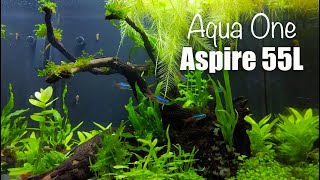 Aqua One Aspire 55L  Ep2 Planted ᴴᴰ Aquascape No Ferts No co2 [upl. by Kam]