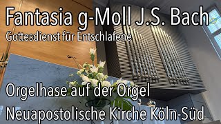 Gottesdienst für Entschlafene JS Bach Fantasie gMoll BWV 542 Neuapostolische Kirche NAK Orgel [upl. by Tinya]