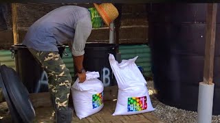 How to mixing AB fertilizer  ep101  Cara bancuhan baja AB [upl. by Acirem]