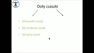 Doły czaszki wstęp PL [upl. by Adnaval545]