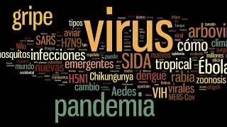 Estas fueron las 5 epidemias más grandes de la historia [upl. by Glassman543]