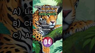 Animal Questions 🟣 quiz trivia  unitedstates [upl. by Turpin182]