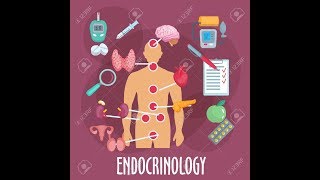 medical terminology  endocrine system [upl. by Ilise365]