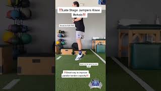 Jumpers Knee Rehab [upl. by Anwahsit954]