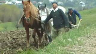 Doc Viata si paste in Maramures di Duccio Pugliese 2  2008  Romania Film East Europe Doc Movie [upl. by Althea]