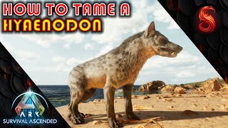 ARK SURVIVAL ASCENDED HOW TO TAME A HYAENODON [upl. by Lily995]