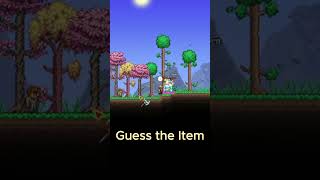 Guess the Terraria Item 25 terraria gaming [upl. by Trinia158]