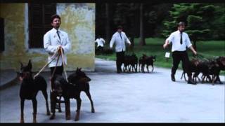 Dobermans in movie  3  Доберманы в кино [upl. by Amalie]