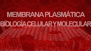 Membrana plasmática  Biología celular y molecular [upl. by Wadsworth]