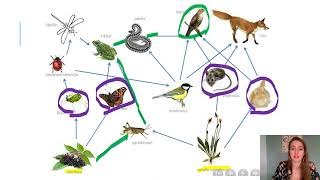 Samenvatting Ecologie 4 VMBO Biologie Voor Jou MAX [upl. by Camp]