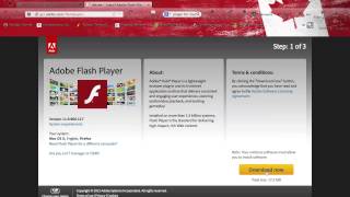 How to get Adobe Flash Player for Mac NEW UPDATED TUTORIAL ON SCREEN [upl. by Ez]