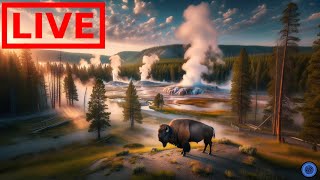 🌎 LIVE Yellowstone National Park  Old Faithful  Relaxing Music [upl. by Veejar]