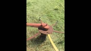 Tedding hay with a John Deere M and a Gehl 241 Tedder [upl. by Kinny]