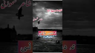 nosherwan new song 2024 tiktok Nosherwan Ashna New Song Nosherwan New Pashto Song pashtosong song [upl. by Pratte419]