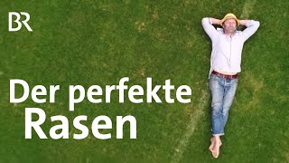 Säen rollen mähen Der perfekte Rasen  Schmidt Max  freizeit  Doku  BR [upl. by Ahseele723]